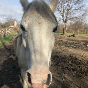 Meet your Posher, Kendra